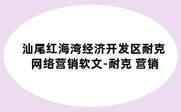 汕尾红海湾经济开发区耐克网络营销软文-耐克 营销